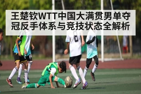 王楚钦WTT中国大满贯男单夺冠反手体系与竞技状态全解析